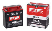 BS Battery SLA Factory-Activated AGM Maintenance-Free Batteries Black BB5L-B AGM Maintenance Free Brass Each