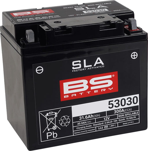 BS Battery SLA Factory- Activated AGM Maintenance-Free Battery Black 53030 AGM Maintenance Free