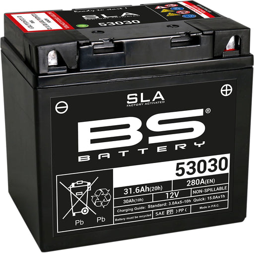 BS Battery SLA Factory- Activated AGM Maintenance-Free Battery Black 53030 AGM Maintenance Free Each
