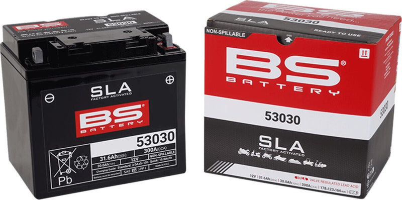 BS Battery SLA Factory- Activated AGM Maintenance-Free Battery Black 53030 AGM Maintenance Free Each