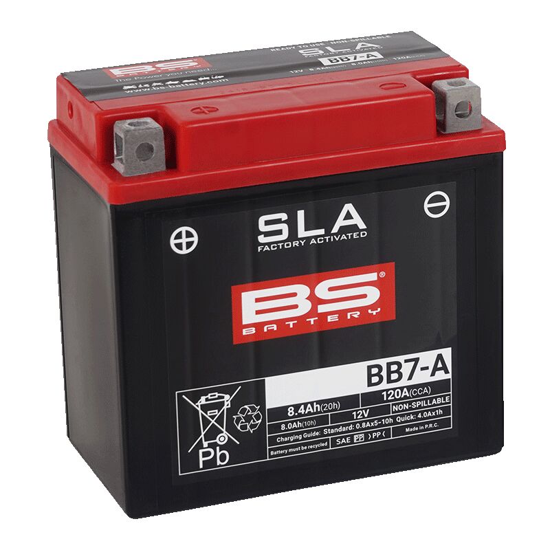 BS Battery SLA Factory-Activated AGM Maintenance-Free Batteries Black AGM Maintenance Free