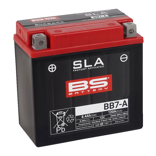 BS Battery SLA Factory-Activated AGM Maintenance-Free Batteries Black AGM Maintenance Free