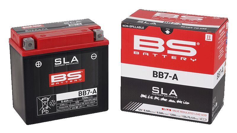 BS Battery SLA Factory-Activated AGM Maintenance-Free Batteries Black AGM Maintenance Free Each