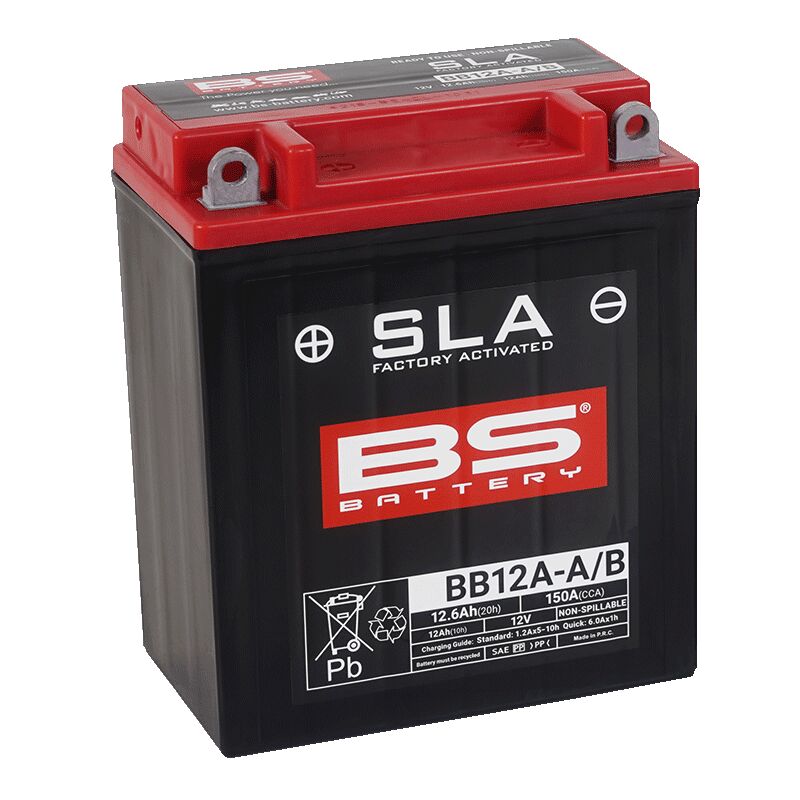 BS Battery SLA Factory-Activated AGM Maintenance-Free Batteries Black AGM Maintenance Free