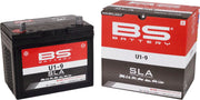 BS Battery SLA Factory- Activated AGM Maintenance-Free Battery U1 Black U1-9 AGM Maintenance Free Each