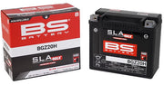 BS Battery SLA MAX Factory- Activated AGM Maintenance-Free Battery BGZ Black BGZ20H AGM Maintenance Free Each