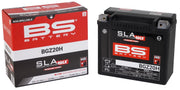 BS Battery SLA MAX Factory- Activated AGM Maintenance-Free Battery BGZ Black BGZ20H AGM Maintenance Free Each