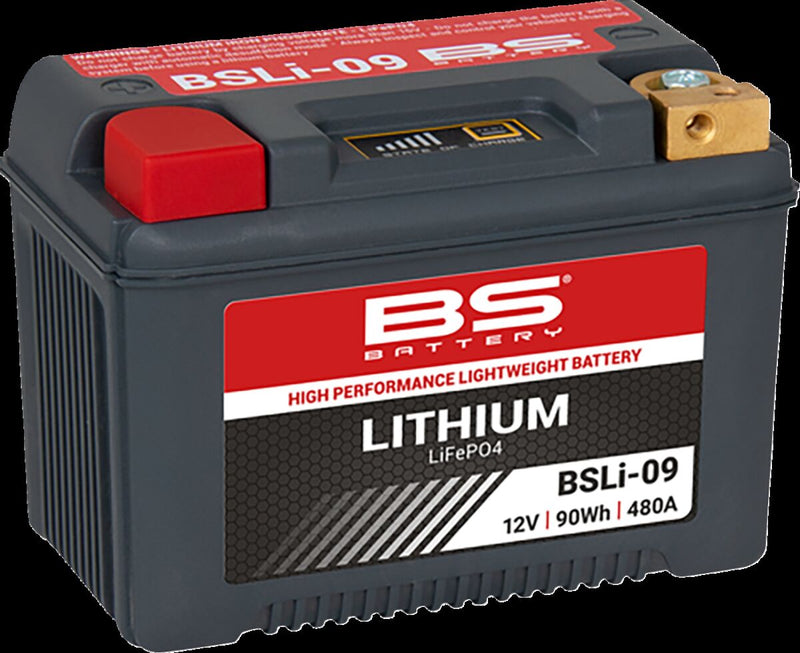 BS Battery Lithium LiFePO4 Battery BSLi Black BSLi-09 Lithium-Ion