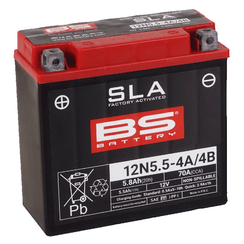 BS Battery Maintenance-Free Battery SLA Black AGM Maintenance Free
