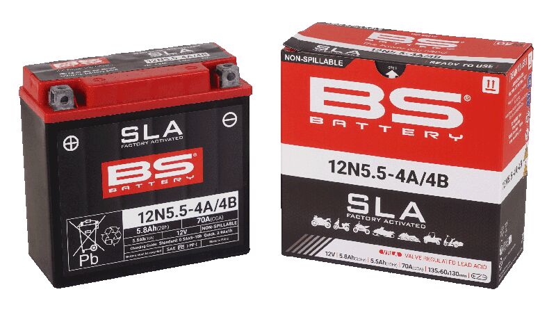 BS Battery Maintenance-Free Battery SLA Black AGM Maintenance Free Each