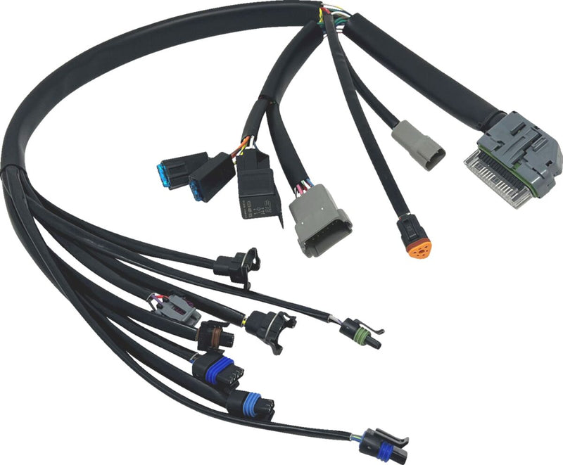 NAMZ Custom Cycle Products Black EFI Harness for 2004-2005 Harley-Davidson Touring Models