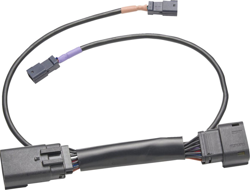 Ciro Wire Harness for 2023-2024, 2026 Harley-Davidson Black Lighting