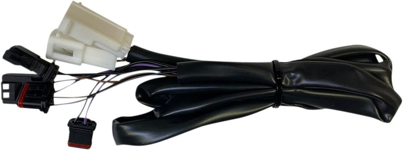 Custom Dynamics Low Rider Integrated Taillight Harness for 2018-2026 Harley-Davidson Softail Motorcycles