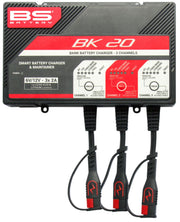 BS Battery SMART Bank Battery Charger and Maintainer with Reconditioning Function Black Red Battery Monitor Each