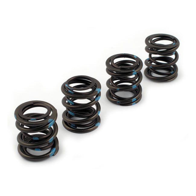 Andrews Valve Spring Set. .600" High Lift – 1948–1965 Panhead; 1966–1984 Shovelhead