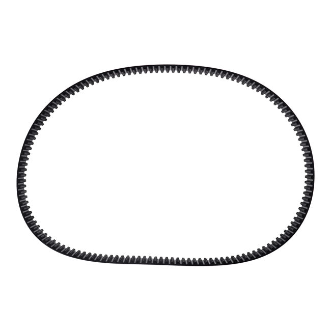 Belt Drives Ltd. Replacement Primary Belt. 3", 8 mm Pitch, 141t