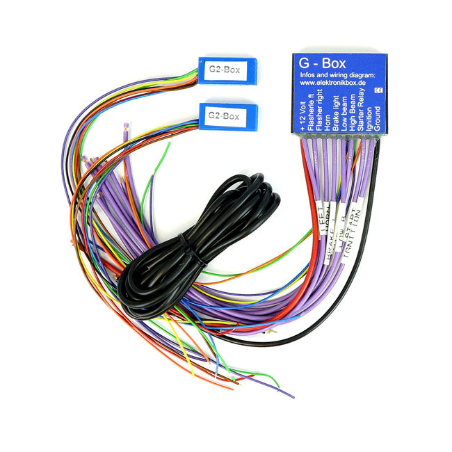 Axel Joost Elektronik, brain box G2 - on-bike programmable through 6 menu items with taillight/brake light, pushbutton or switch for head light, various flasher controls and flasher 'running light' mode. With 'status' LEDs on wiring exits. Dimensions: 50