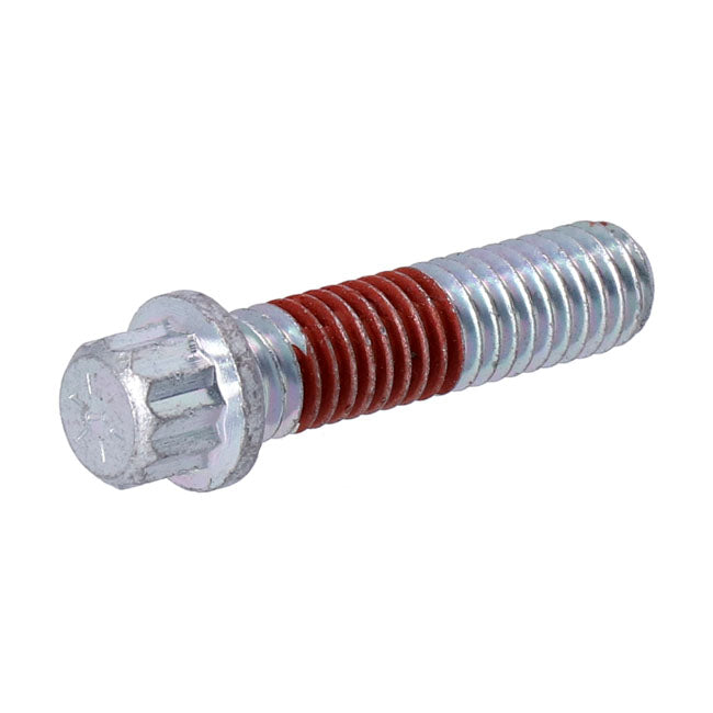 MCS Bolt, Axle Adjuster – 2018–2025 Some Softail