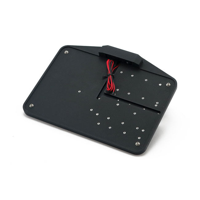 CPV License Plate Holder Only W/LED PlateLight EU. Black