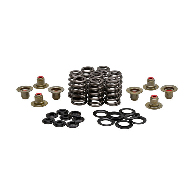 Kibblewhite KPMI, .550" High Lift Valve Spring Kit. Steel – 2018–2024 Softail; 2017–2024…