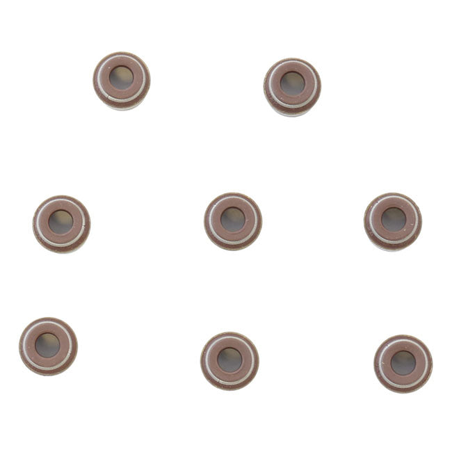 Athena Valve Stem Seal Kit – BMW: 2009–2012 R GS / ADVENTURE 1200cc
