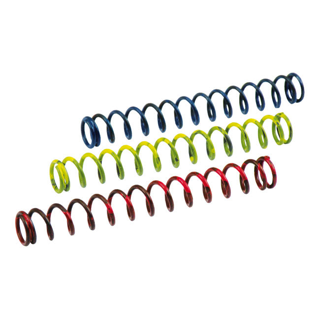 ERT Superpump Spring Kit – 1966–1999 Big Twin