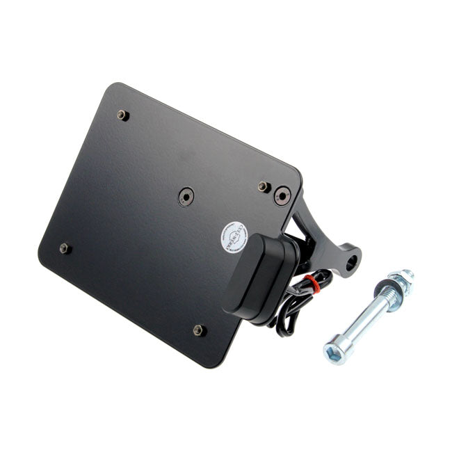 Cult-Werk Side Mount License Plate Bracket. Switzerland – 2002–2017 V-Rod