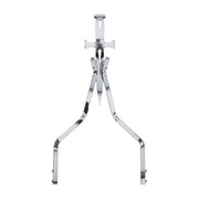 Cycle Visions Daggertude Stick Sissy Bar 18", Chrome