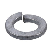 Gardner-Westcott Zinc Lock Washers M10 - 25 Pack