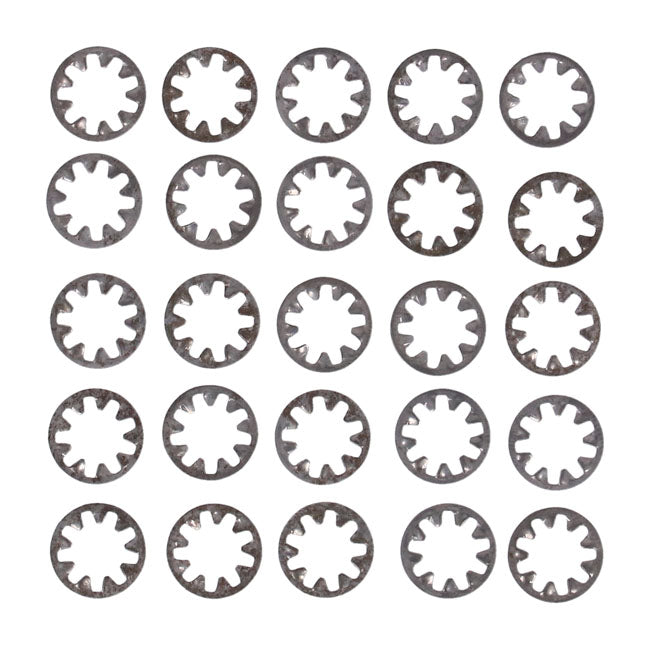 Gardner-Westcott SS Int. Lockwasher, 1/4 Inch - 25 Pack