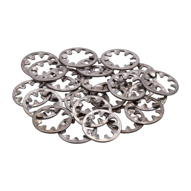 Gardner-Westcott SS Int. Lockwasher, 1/4 Inch - 25 Pack