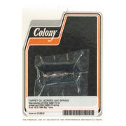 Colony Oil Screen Kit – 1970–1999 Big Twin