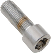 Drag Specialties Replacement Fine Thread Socket-Head Bolts Chrome Polished Silver Smooth 10 Pack - MPB251S