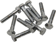 Replacement Hex-Head Bolts