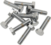 Drag Specialties Replacement Hex-Head Bolts Silver 10 Pack