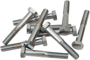 Drag Specialties Replacement Hex-Head Bolts Silver 10 Pack