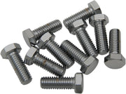 Drag Specialties Replacement Hex-Head Bolts Silver 10 Pack