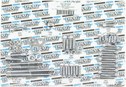 Drag Specialties Motor Bolt Set Chrome Silver Knurled Socket-Head