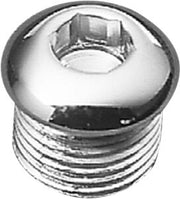 Drag Specialties Timing and Oil Tank Drain Plug Silver Multi