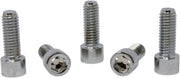 Drag Specialties Replacement Coarse Thread Socket-Head Bolts Chrome Polished Silver Smooth 5 Pack
