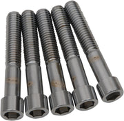 Drag Specialties Replacement Coarse Thread Socket-Head Bolts Chrome Polished Silver Smooth 5 Pack - MPB704S