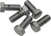 Drag Specialties Replacement Hex-Head Bolts Silver 5 Pack - MPB668