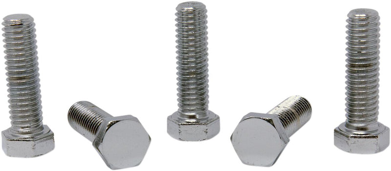 Replacement Hex-Head Bolts