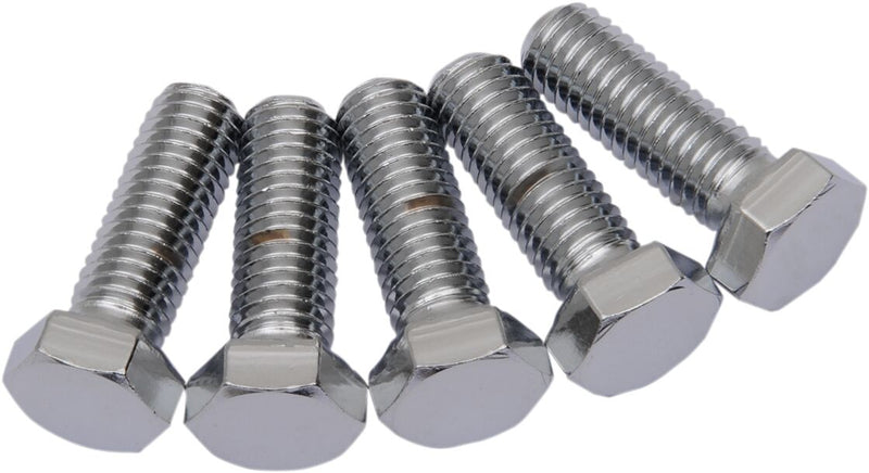 Replacement Hex-Head Bolts