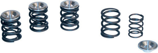 S&S Cycle Valve Spring Kit Titanium