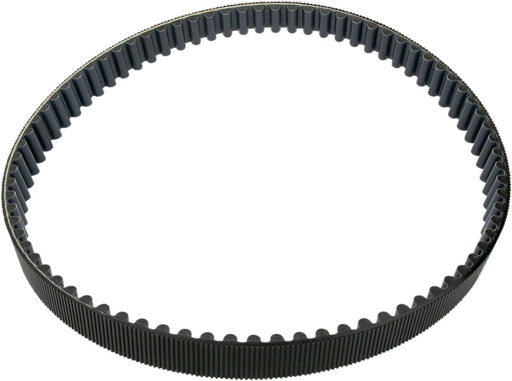 Belt Drives Ltd. Replacement Primary Belt Ribbed