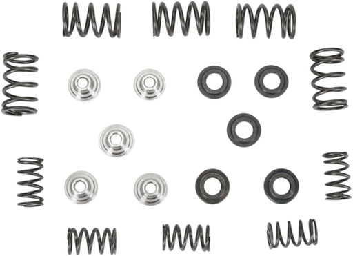 Kibblewhite Lightweight Racing Valve Spring Kit for 1991-1999, 2001-2008 YAMAHA Chromium Silicon Alloy