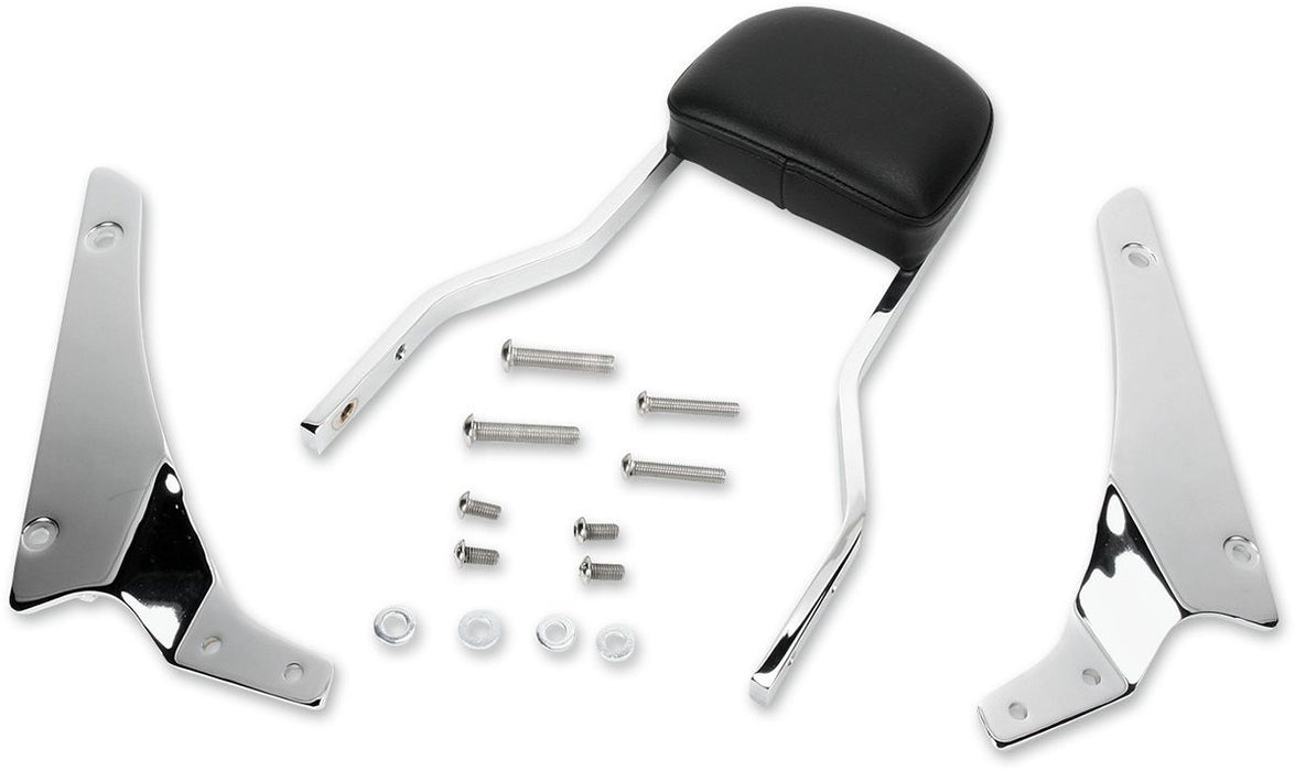 Cobra Sissy Bar - Part #15010139