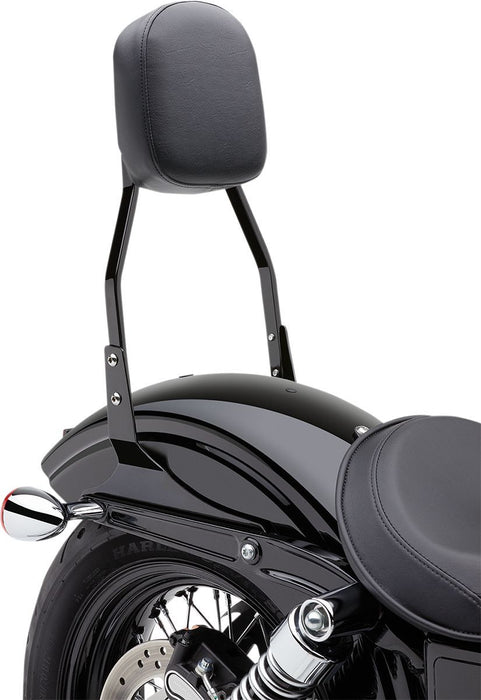 Square Sissy Bar Part # 60215010456