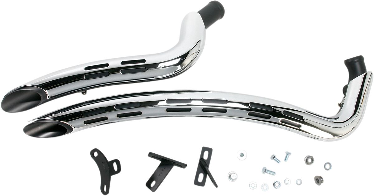 Bassani Radial Sweeper Exhaust #1SD2F